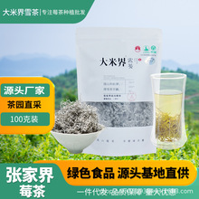 大米界雪茶张家界高山仿野生芽尖莓茶黄酮茶原产地茶厂直销