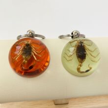 2022新款半球琥珀色昆虫钥匙扣树脂滴胶昆虫标本钥匙扣挂件饰品