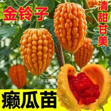 ����С�]������]���ѽ���ӷN���]���O���G����ļ��߮a�N��