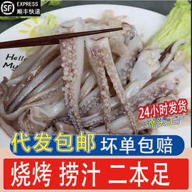 鲜冻鱿鱼须 冷冻二本足 烧烤铁板半成品商用海鲜水产商用批发代发