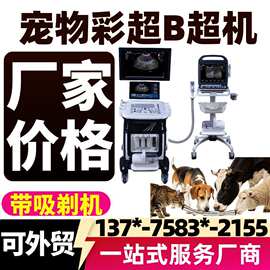 黑白兽用B超机 乡镇兽医站基础诊疗设备兽用彩超机厂家2608