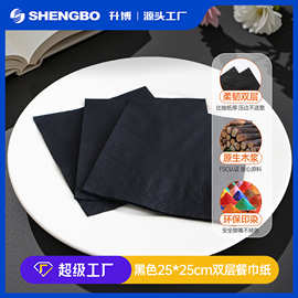 跨境热销黑色250餐巾纸定制LOGO高档西餐厅咖啡店双层加厚餐巾纸