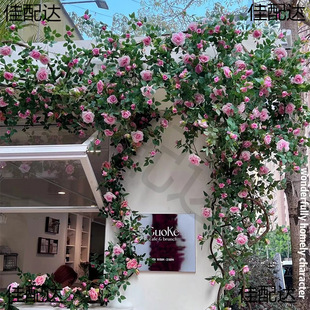 ����õ�廨�Nޱ���ٗl�L�l���ٽ����ٻ����ů��ܵ��b��