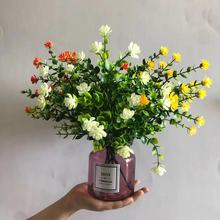 ����ֲ���ȼ����軨 ����Gֲ���X�~����ɏ�� ��c�@ˇ�bٻ�