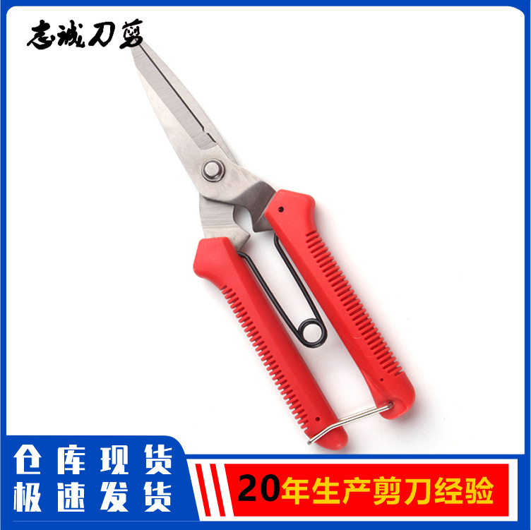 厂家现货不锈钢修枝剪刀摘果剪蔬果剪葡萄剪稀果剪柑橘葡萄剪