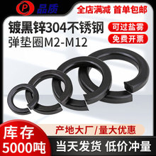 ɫ304P䓏||Ȧ׼|_ڏ|׼ɉ|ȦM2M3M4-M12