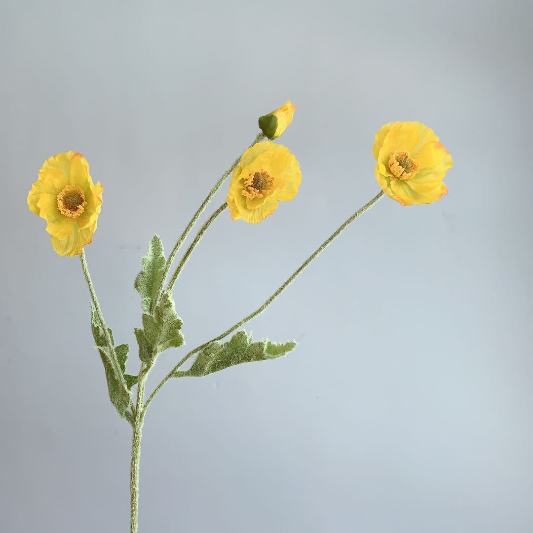 노란색