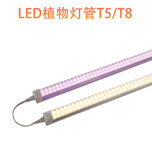 Fleshy light T5T8 plant lamp wholesale plant light fill color imitation long indoor cultivation plant light