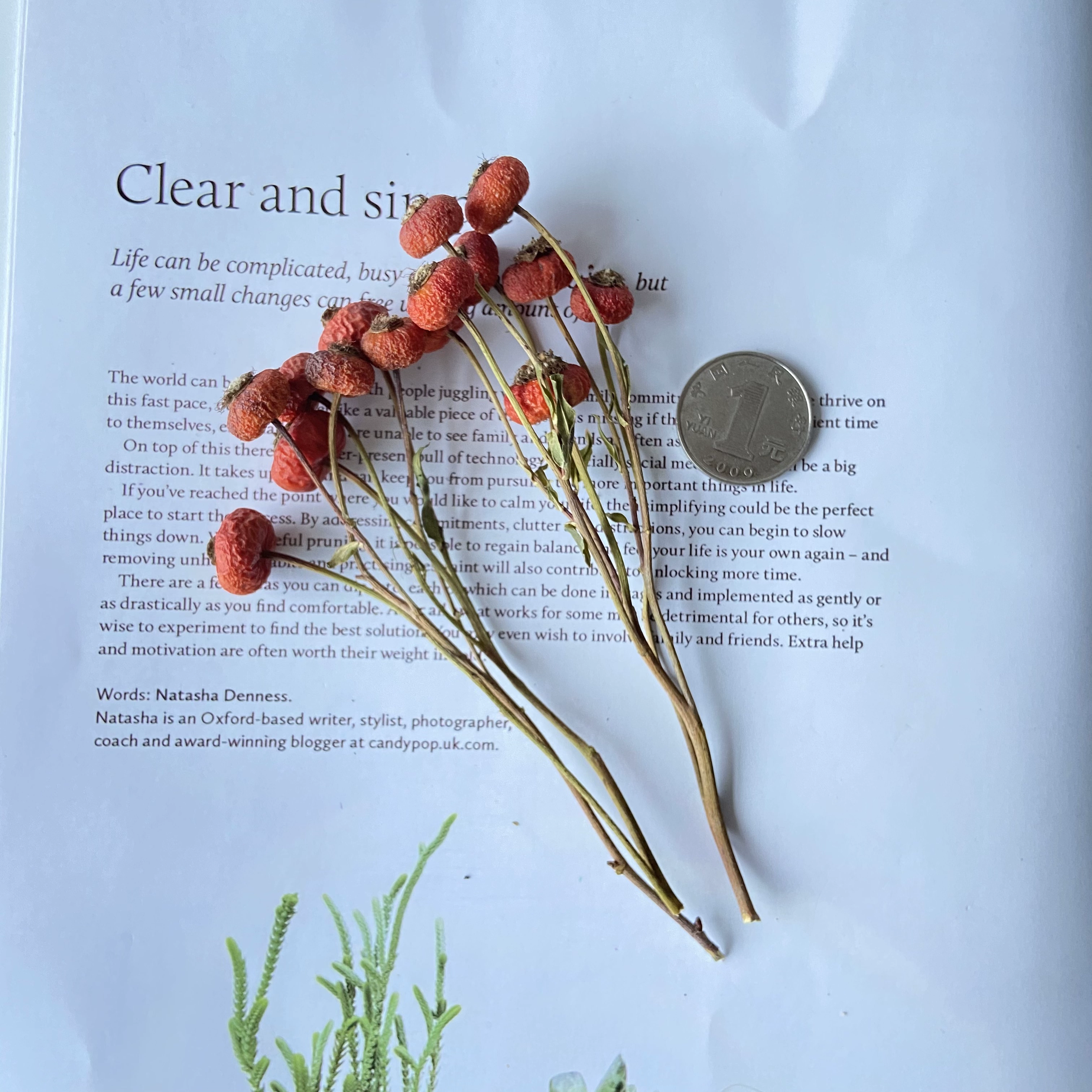 Floral aromatherapy, candle, materials set, photo frame, sample, handmade