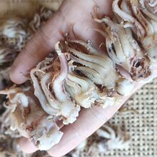 鱿鱼须新晒鱿鱼干手撕芥末鱿鱼头干特产干货鱿鱼头炒菜专用海兔头