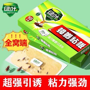 Green Cockroach Sticky Board Physical Lure Cockroach Cockroach Sticky Paper Kitchen Cockroach Killing Powerful Cockroach House