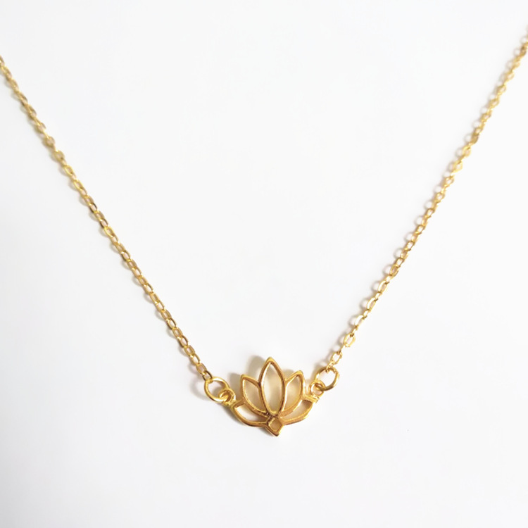 10144931050_425181907