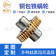 来图定制加工铜蜗轮铝青铜9-4 厂家直供 批发定制生产