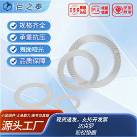 防松垫圈（盐雾480H）DIN9250S 达克罗