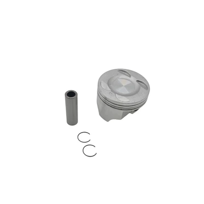 Longxin Motorcycle Engine Piston, piston ring, piston pin - klx300-piston