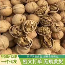 �����㽷�}���͡����½���Ƥ���ҿ���������҃�ͯ��ʳ�ɹ��Թ�