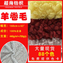 厂家现货多色芭莎牧羊卷中羊卷面料服装皮草外套毛绒玩具毛毯绒布