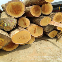 �SӲľԭľ��� �S��ľ �SӲľ��� �S��ľ��� �Sđľ