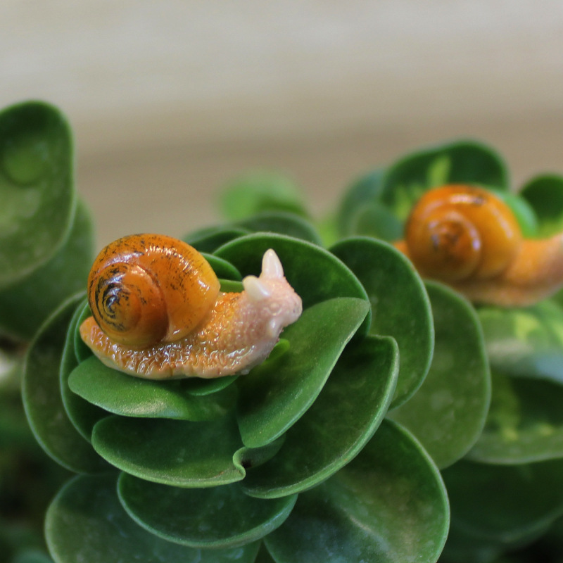 micro landscape