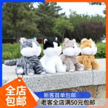 抱抱宝贝乖乖猫毛绒玩具猫咪玩偶跨境玩偶安抚睡觉布娃娃儿童礼物