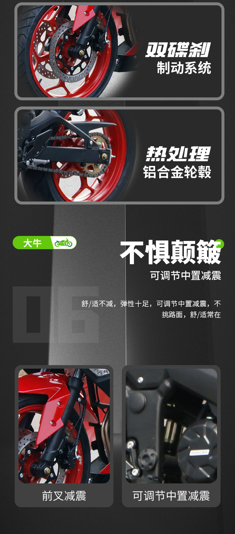Daniu Motorcycle Sports Car National Four Efi Single-Cylinder Racing Motorcycle Fuel Motorcycle High-Speed Adult Motorcycle Export