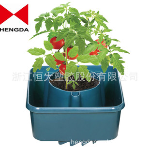 ����ֲ���h���ԷNֲ����ˮ���ϻ��@ֲ�﷬�ѷNֲ��