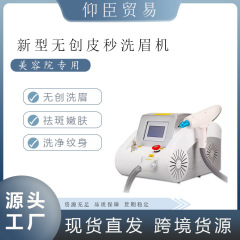 無創眉毛洗浄機タトゥー携帯式大出力点あざ黒顔人形シミ除去対外貿易美容院
