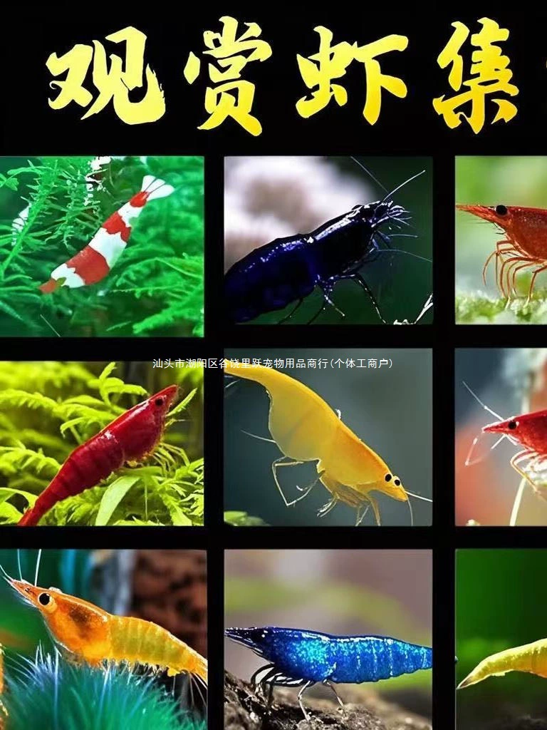 Тропические декоративные креветки, живые пресноводные домашние животные, черные креветки в раковине, кристаллические креветки, креветки с вишневым цветком, трава, инструмент для удаления водорослей, креветки, прыгающие домашние животные