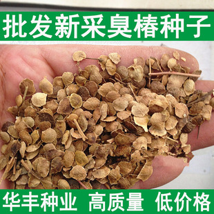 �²ɳ����N�ӳ�����N�Ӵ����������N���ļ��Nֲ�t���㴻��N��