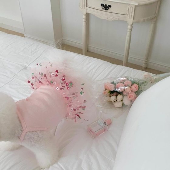 Spring and summer new dog puffy skirt cat teddy bear Yorkshire boomey skirt cherry print clothes