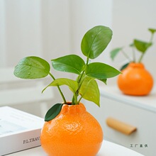 �մɷ������ӻ�ƿ�Bˮ�G�jˮ�໨��Ҿ����[�b[�����ֵ��@�L