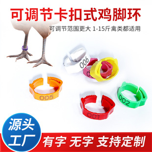 �u�_�h���{���u�_�h�u���Z���ݘ˺���С�{���_Ȧӛ̖�R�e�h����Ȧ