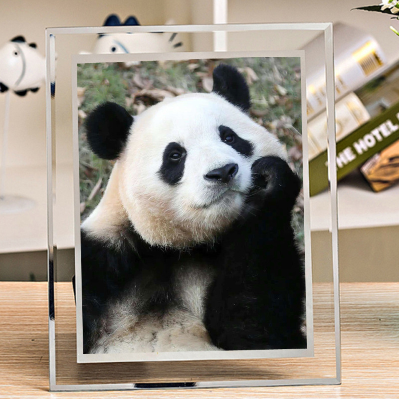 Giant Panda Fubaofu Princess Picture Making Photo Frame Hand-held Animation Doll Poster Gift Table