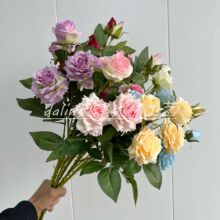 �����֧5�^õ�� ���滨�ٻ���c��Y���üҾӔzӰܛ�b�b�