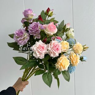�����֧5�^õ�� ���滨�ٻ���c��Y���üҾӔzӰܛ�b�b�