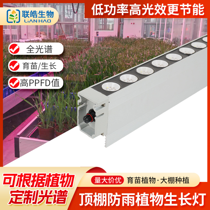 LED travel plant lamp