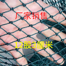 防鸡网养鸡网养殖网菜园围网山鸡网拦鸡网围栏网尼龙网定制加工