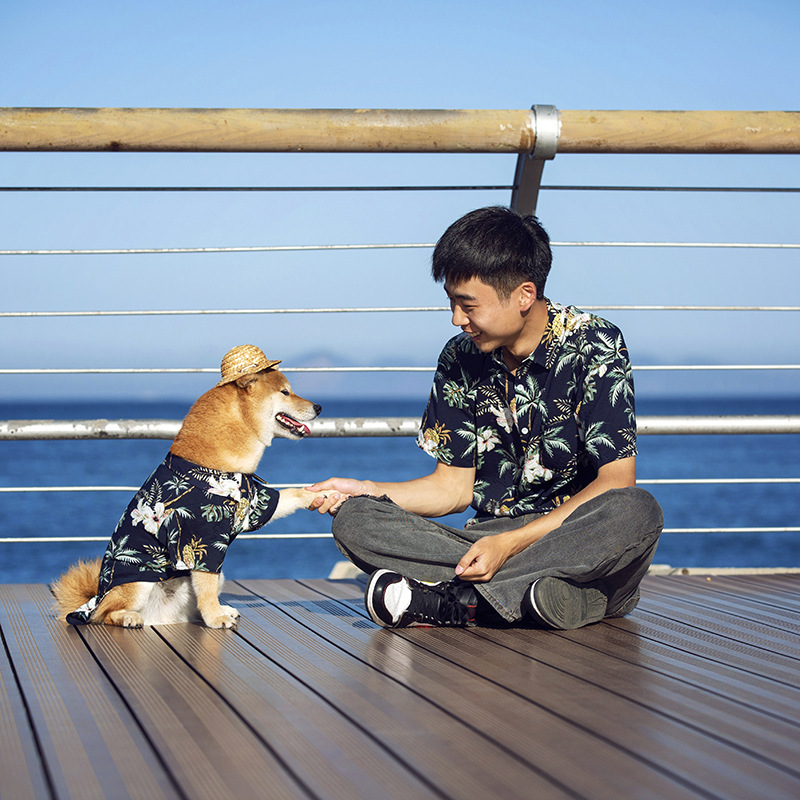 New pet clothes
