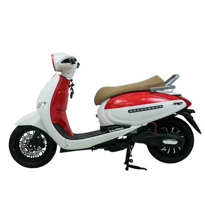 for Cross-Border Export, Elektrikli motosikletlər