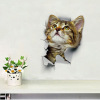 Three dimensional stickers suitable for photo sessions on wall, laptop, toilet, sticker, ebay