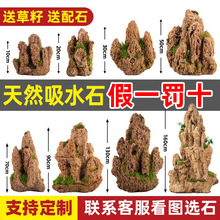 ��ˮʯˮʯ��Ȼԭʯ�~���~���辰΢���^�Gֲ�쾰�b[����ɽʯ