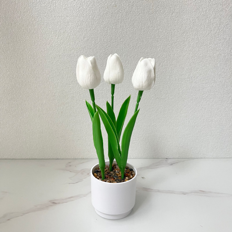 화이트 (높이 25*가로 10cm)