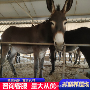 �Bֳ�����������H���H���H��С�H��r��Сë�H���w