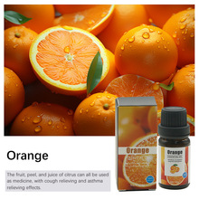 õ����޹�����Ծ��Ͱ�Ħ�η���������޹�²�ֲ�ﾫ��10ml�羳����