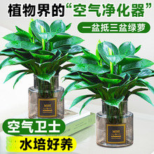 ���~��荾G����ˮ����B�ļ����ܾGֲ�҃�����ֲ���·�����ȩ�҃�