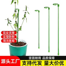 批发蝴蝶兰花架杆居家花架支架植物盆栽花卉造型支撑杆固定防倒伏