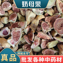 ľ�z�^ ��ĸ�� ���Z�� Ѧ���ľɏ������  ��ș��ľ�z�^ ����ă�