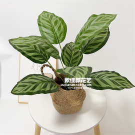 厂家批发仿真绿植青苹果叶仿真竹芋北欧家居装饰仿真假花绿植