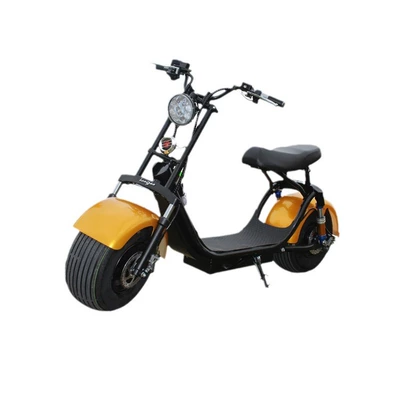 Adult Scooter, Elektrikli motosikletlər