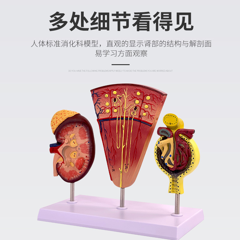 ��������λ ��С��ģ�� ������ģ�� ����ģ�� �������ģ�� ����